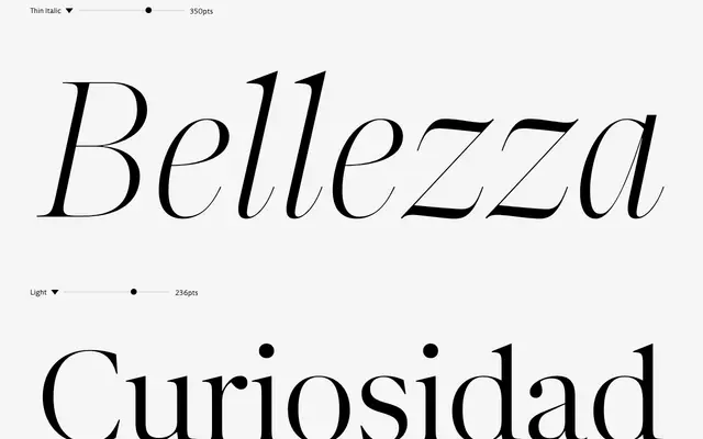 Pulso Big specimen from DSType Foundry