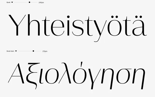 Rigor Display Pro specimen from DSType Foundry