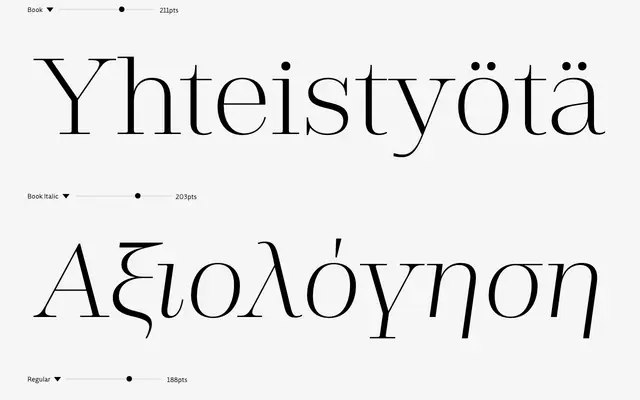 Rigor Ionic Display Pro specimen from DSType Foundry