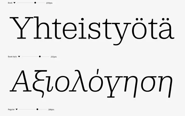 Rigor Ionic Pro specimen from DSType Foundry
