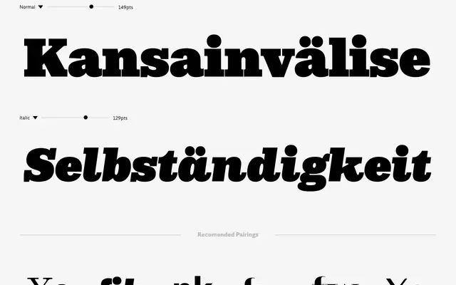 Rigor Ionic XL specimen from DSType Foundry