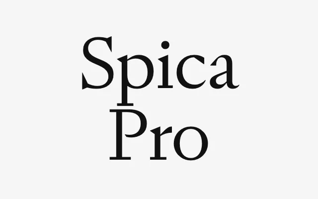 Spica Pro specimen from DSType Foundry