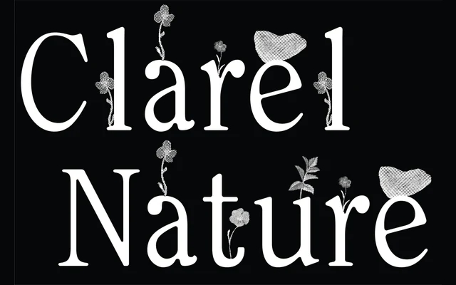 Clarel Nature specimen from Dum Dum Studio