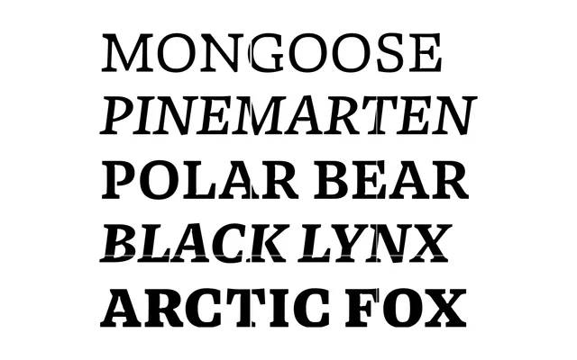 Columba specimen from East of Rome