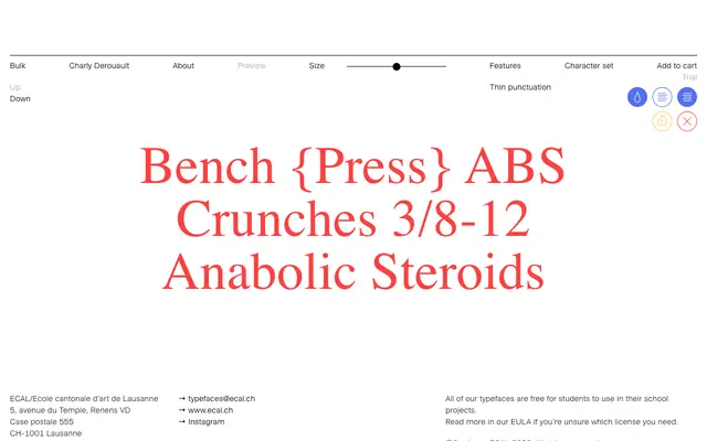 Bulk specimen from ECAL Typefaces