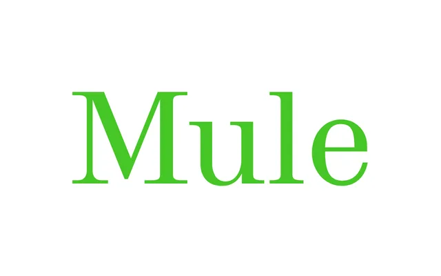 Mule specimen from ECAL Typefaces