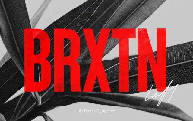 Brixton specimen from Ellen Luff Type Foundry