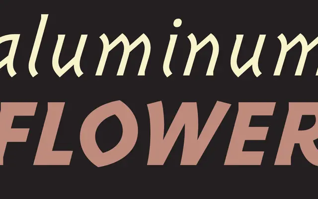 Triplex Italic specimen from Emigre