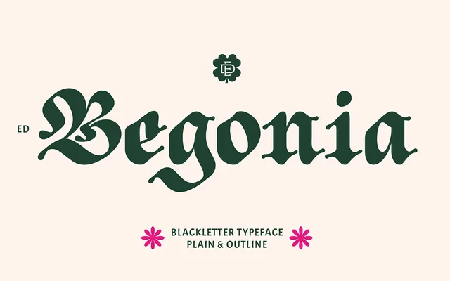 ED Begonia specimen from Emyself Design