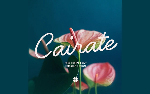 ED Cairate specimen from Emyself Design