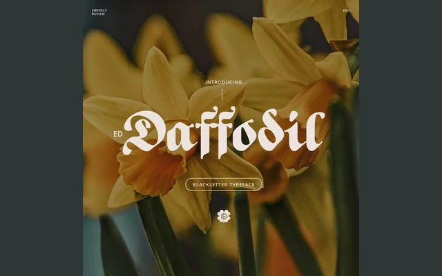 ED Daffodil specimen from Emyself Design