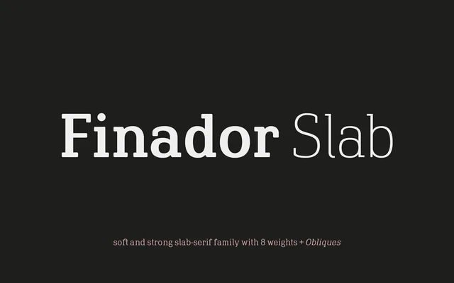 Finador Slab specimen from Fincker Font Cuisine