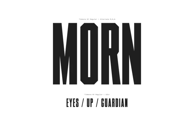 Timmons NY specimen from Font Review Journal