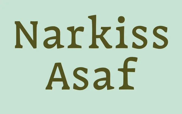 Narkiss Asaf specimen from Fontef