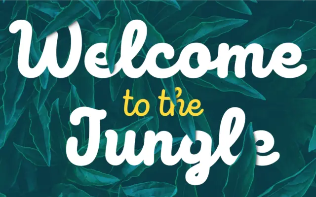Intro Script specimen from Fontfabric