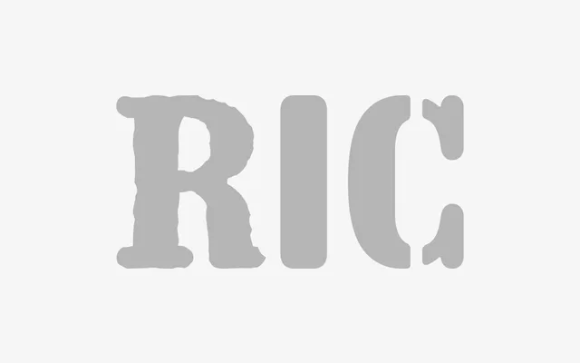 RIC specimen from Fonts From Folch