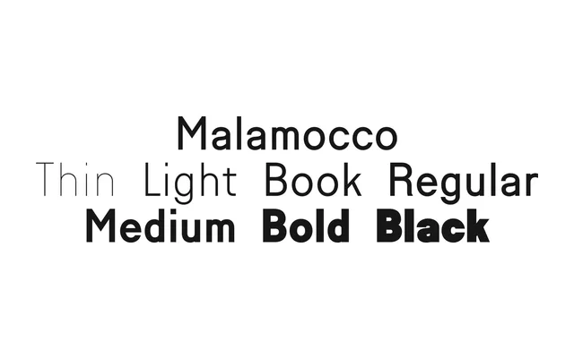 Malamocco specimen from Formagari