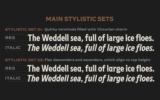 Shackleton specimen from Fort Foundry