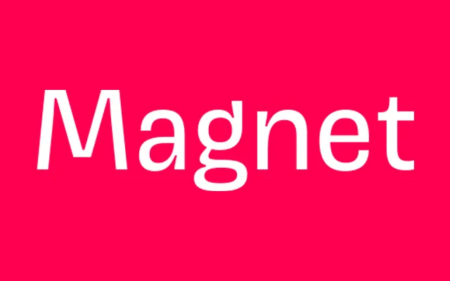 Magnet specimen from Frere-Jones