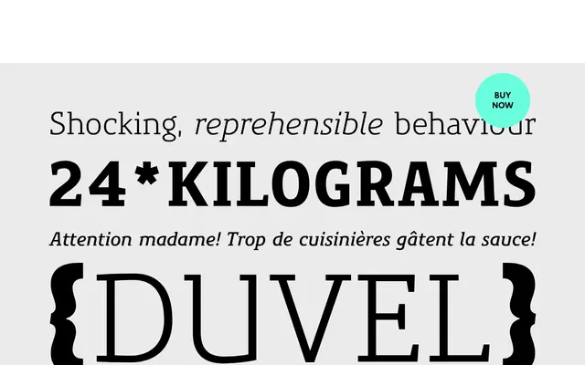 Precious Serif specimen from G-Type