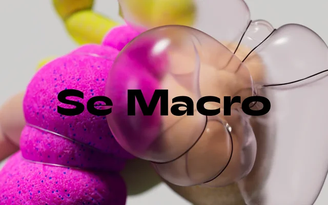 Se Macro specimen from Gallery Type