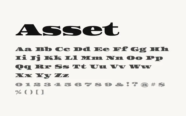 Asset specimen from Google Fonts