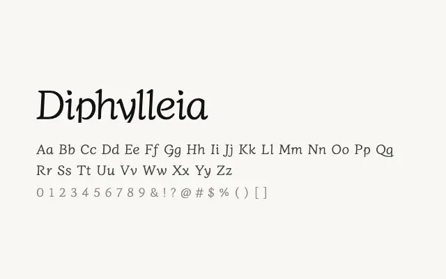 Diphylleia specimen from Google Fonts
