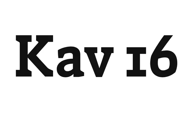 Kav 16 specimen from Hagilda