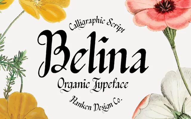 Belina specimen from Hanken Design Co.