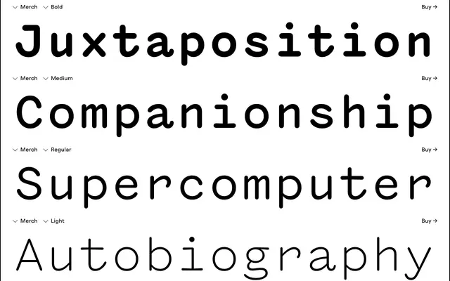 Merch specimen from Haus Type
