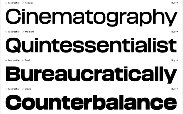 Metrostile specimen from Haus Type