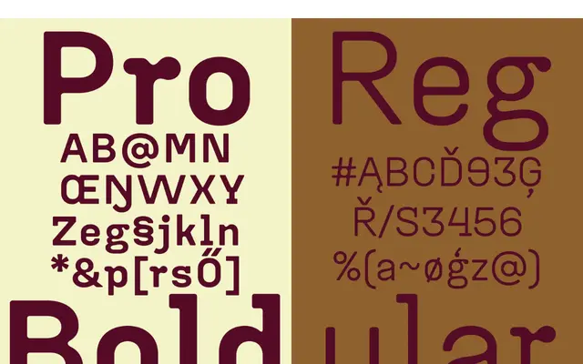 Ammattiliitto Pro specimen from Helsinki Type Studio
