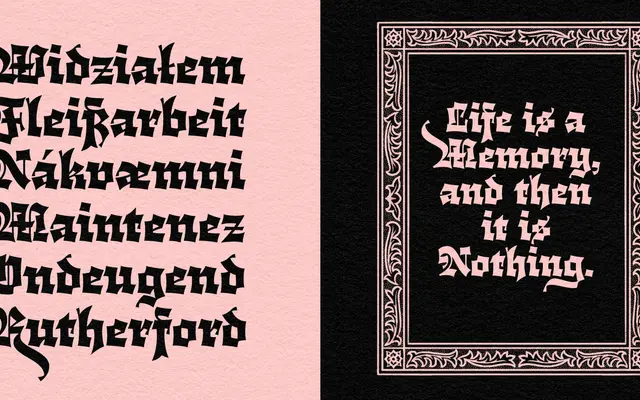 Cloisterfuch specimen from Herzberg Design