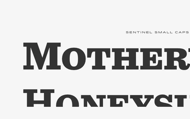 Sentinel specimen from Hoefler & Co