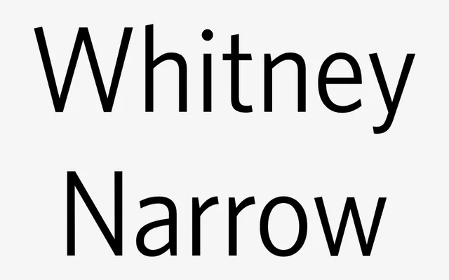 Whitney Narrow specimen from Hoefler & Co