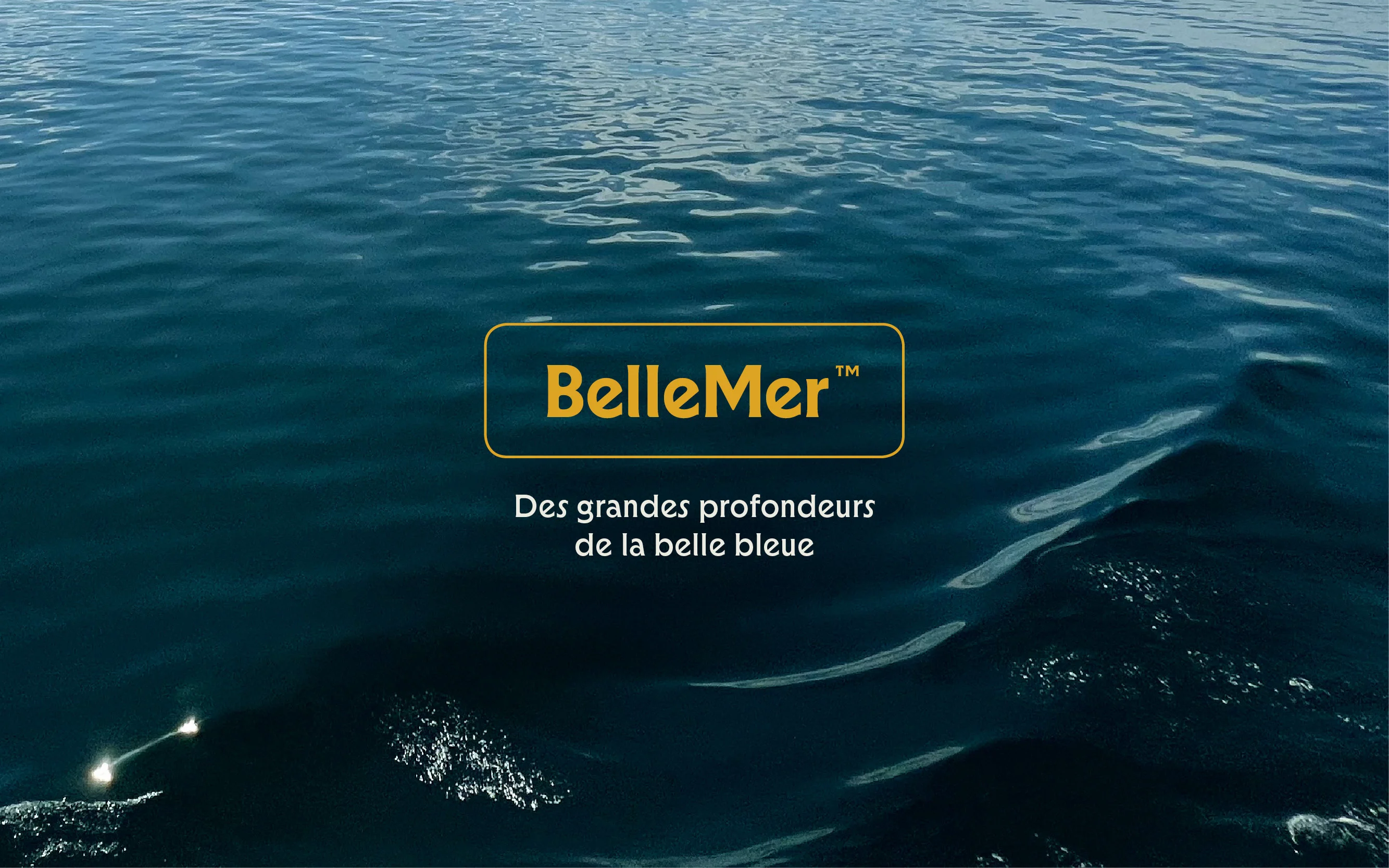 Bellemer specimen from HvD Fonts