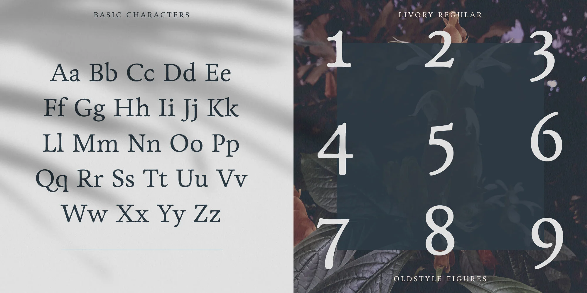 Livory specimen from HvD Fonts