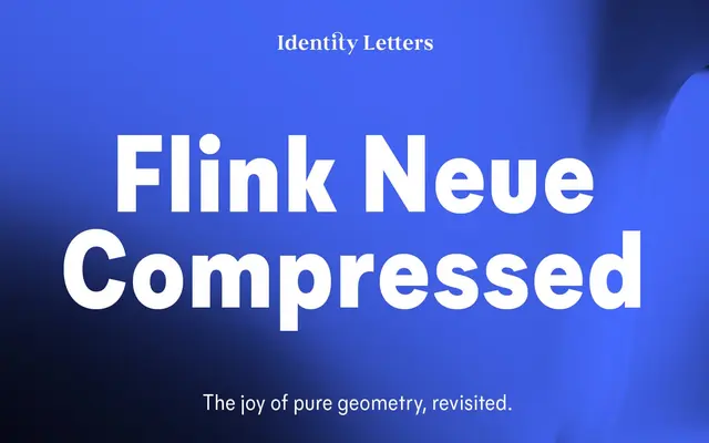 Flink Neue Compressed specimen from Identity Letters