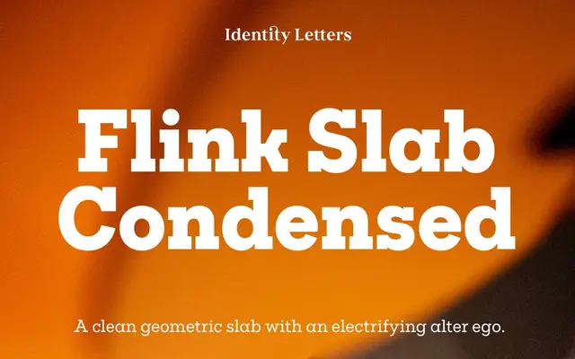 Flink Slab Condensed specimen from Identity Letters