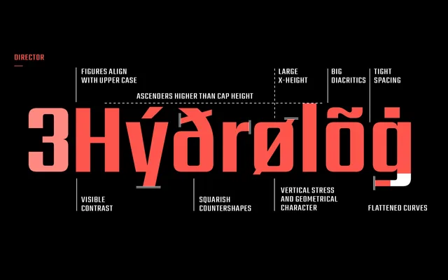Director specimen from Indian Type Foundry