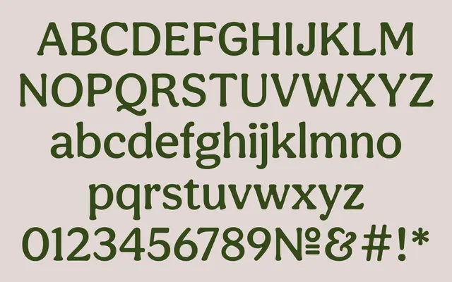 Aesthet Nova specimen from Inhouse Type