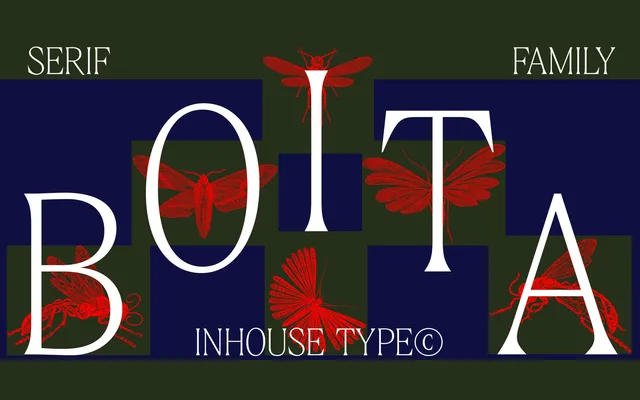 Boita specimen from Inhouse Type