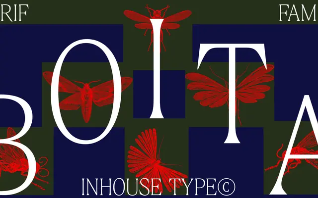 Boita specimen from Inhouse Type