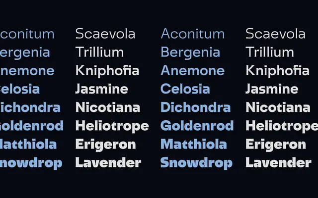 Seboff Display specimen from Inhouse Type