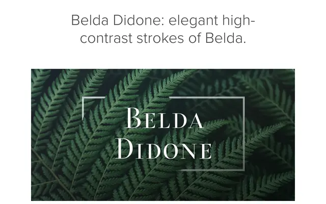 Belda Didone specimen from Insignedesign