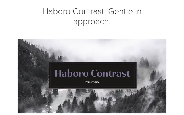 Haboro Contrast specimen from Insignedesign