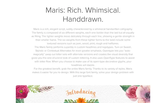 Maris specimen from Insignedesign