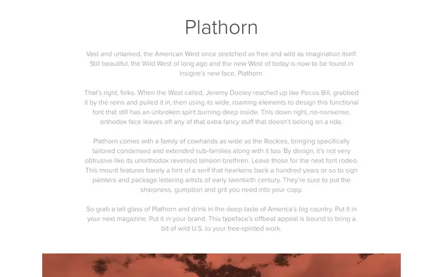 Plathorn specimen from Insignedesign
