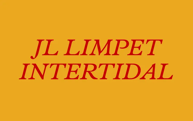 JL Limpet Intertidal specimen from Jung-Lee Type Foundry