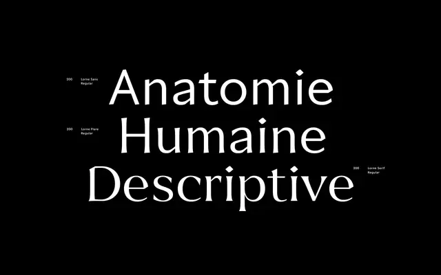 Lorne Variable specimen from Juri Zæch